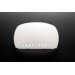 Sprout  Wall Sconce in White