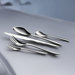 Zaha 5 Piece Flatware Set