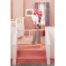 Wide Stairway Swing Gate