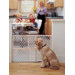 Diamond Mesh Gate