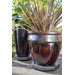 Plant Stand With Wheels