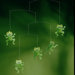 Happy Frog Mobile