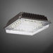 20 Light Flush Mount