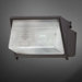 1 Light Outdoor Wall Sconce