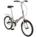 20" Hinge 1 Speed Bike