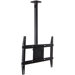Single TV Tilt Mount