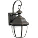 One Light Outdoor Wall Lantern with Frosted Glass in Royal Bronze