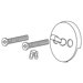 Classic Overflow Plate and Screw with Trip Lever