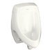 Dexter Elongated Urinal with Rear Spud
