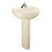 Wellworth Pedestal Bathroom with Drillings for 4" Centers