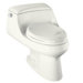 San Raphael One-Piece Elongated Toilet