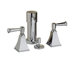 Memoirs Double Handle Vertical Spray Bidet Faucet with Vacuum Breaker