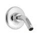 Alteo Shower Arm And Flange