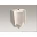Bardon Washout Wall-Mount High Efficiency 1/8 Gpf Urinal with Top Spud