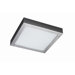 13.8" 2 Light Flush Mount