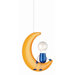 1 Light Pendant