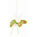 1 Light Pendant