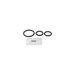 Spout O-Ring Kit for Commercial, Chateau, or Extensa Faucets