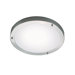 Ancona Maxi Two Light Ceiling Light in Brushed Steel