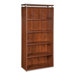 Five Shelf Bookcase with Shelves