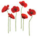 Poppies at Play Peel and Stick Giant Wall Decal