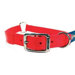 Safe-Rite Dog Collar with Tape in Orange