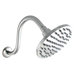 Nature Mist One Function 6" Gravity Shower Head