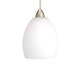 Sarah Flexrail1 Line Voltage Pendant