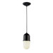 1 Light Pendant