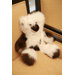 Alpaca Fuzzy Pot Luck Mixed Teddy Bears