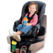 Auto Seat Protector