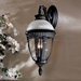 Heron Bay  Outdoor Wall Lantern in Black