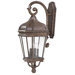 Harrison  Outdoor Wall Lantern in Vintage Rust