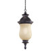 Newport PL 1 Light Hanging Lantern