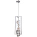 Bella Fiori 2 Light Pendant