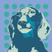 Pooch D&eacute;cor Rocket The Happy Dachshund Portrait