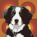 Pooch D&eacute;cor Bernese Mountain Dog Portrait