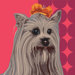 Pooch D&eacute;cor Fabulous Yorkie Portrait