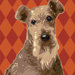 Pooch D&eacute;cor Fox Terrier Wire Portrait