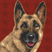 Pooch D&eacute;cor German Shepherd Portrait