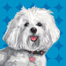 Pooch D&eacute;cor Havanese Portrait