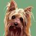 Pooch D&eacute;cor Yorkshire Terrier Portrait