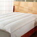 Channel 10/90 Goose Blend Twin Feather Bed