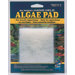 Algae Hand Pad for Acrylic
