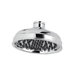 Marielle Rain Can Shower Head
