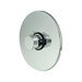 0.75" Thermostatic Valve with Trim