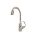 Avanti One Handle Kitchen Faucet