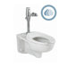 Afwall EverClean Toilet with Selectronic Dual Flush 1.6 / 1.1 GPF Flush Valve