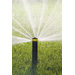 Full Circle Spray Pop Up Mini Rotor
