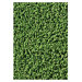 Soft Solids KIDply Grass Green Kids Rug